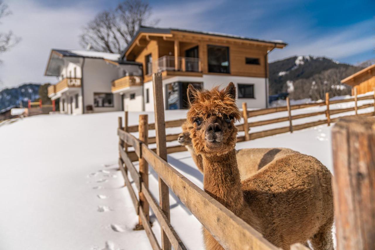 Appartement Ahorn ラムサウ・アム・ダッハシュタイン エクステリア 写真